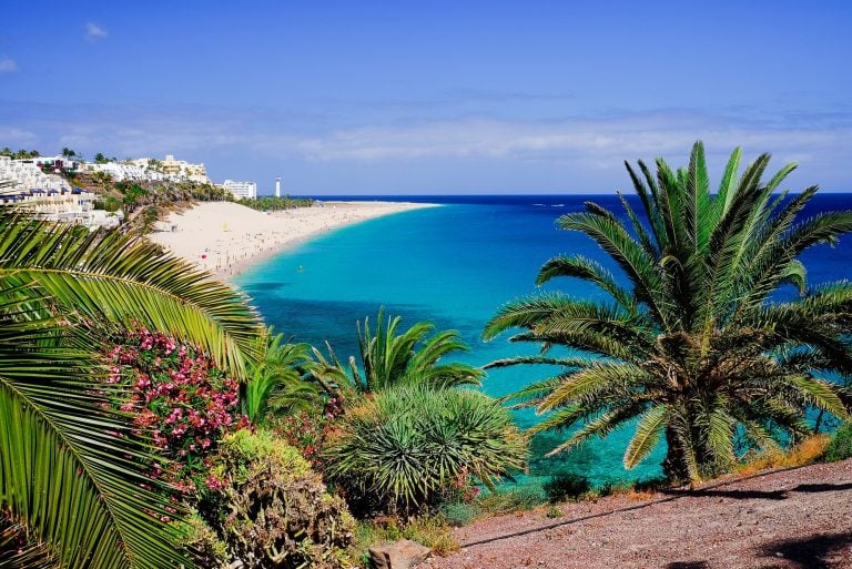 The beach Playa de Morro Jable with green palms, view on the town and the Atlantic coast. Location the Canary island Fuerteventura, Spain.